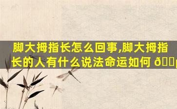 脚大拇指长怎么回事,脚大拇指长的人有什么说法命运如何 🐵
